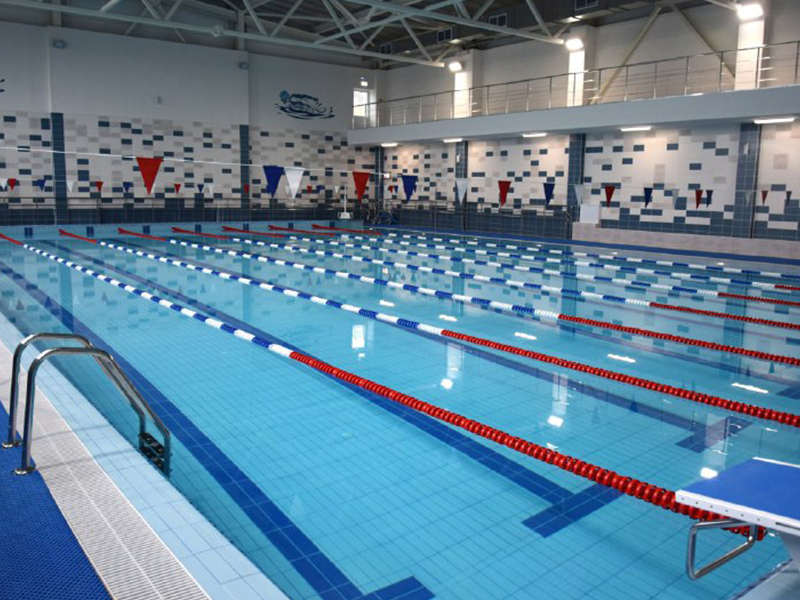Областные соревнования по плаванию, посвящённые «Мастерам спорта Воронежской школы плавания».
